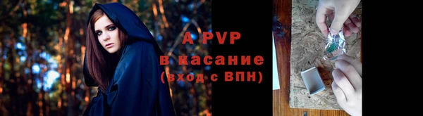 стаф Белокуриха