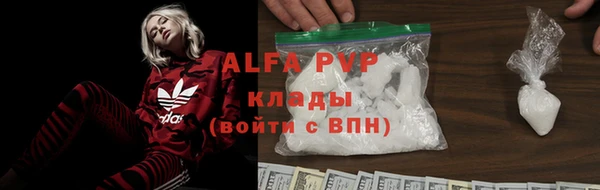 стаф Белокуриха