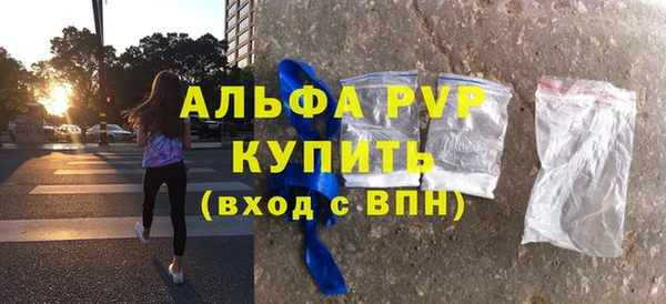 стаф Белокуриха