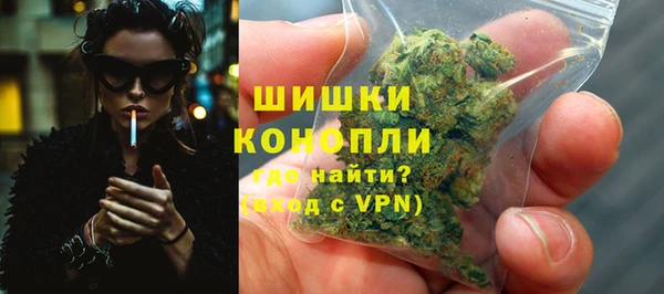 стаф Белокуриха