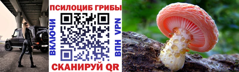 Галлюциногенные грибы Psilocybine cubensis  Кстово 